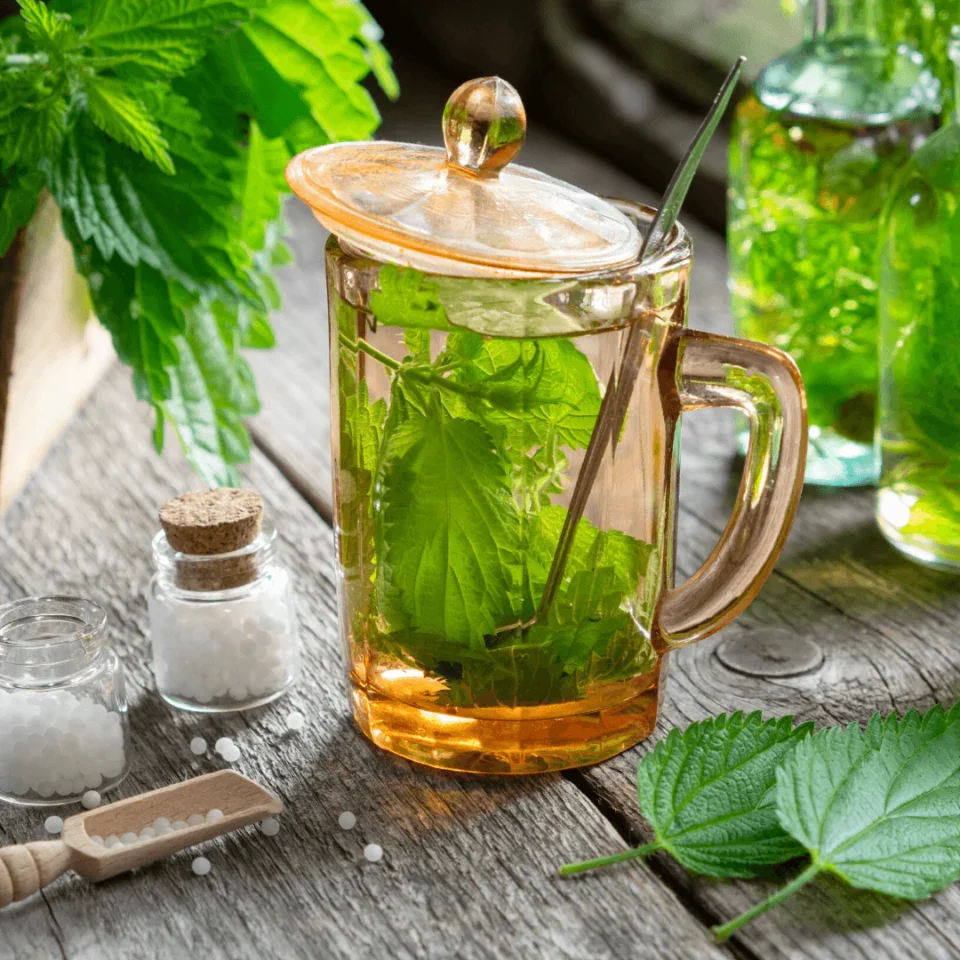 Nourishing Nettle Infusion