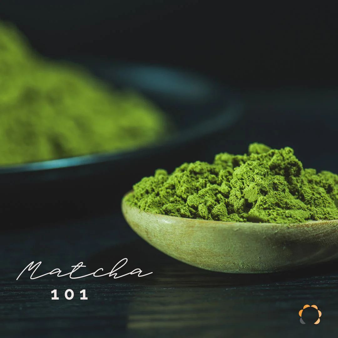 Matcha 101 – All you ever want to know about Matcha