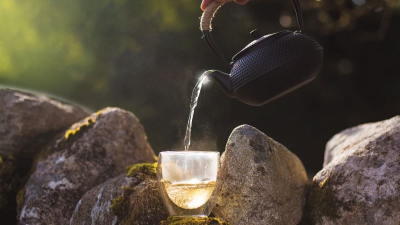 Solaris-Tea-by-Julia-Dunin-Photography-167